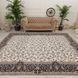 Килим SHAHRIYAR 007 2,5Х3,5 Кремовий прямокутник 7486 фото 1