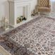 Килим SHAHRIYAR 002 2,5Х3,5 Кремовий прямокутник 7481 фото 7